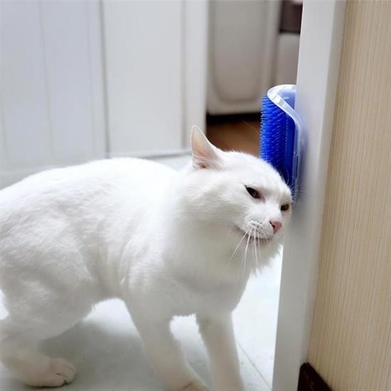 BUFFER® Pratik Kedi Tüyü Kaşıma Ve Tarama Aparatı Duvara Monte Kaşıma Aleti